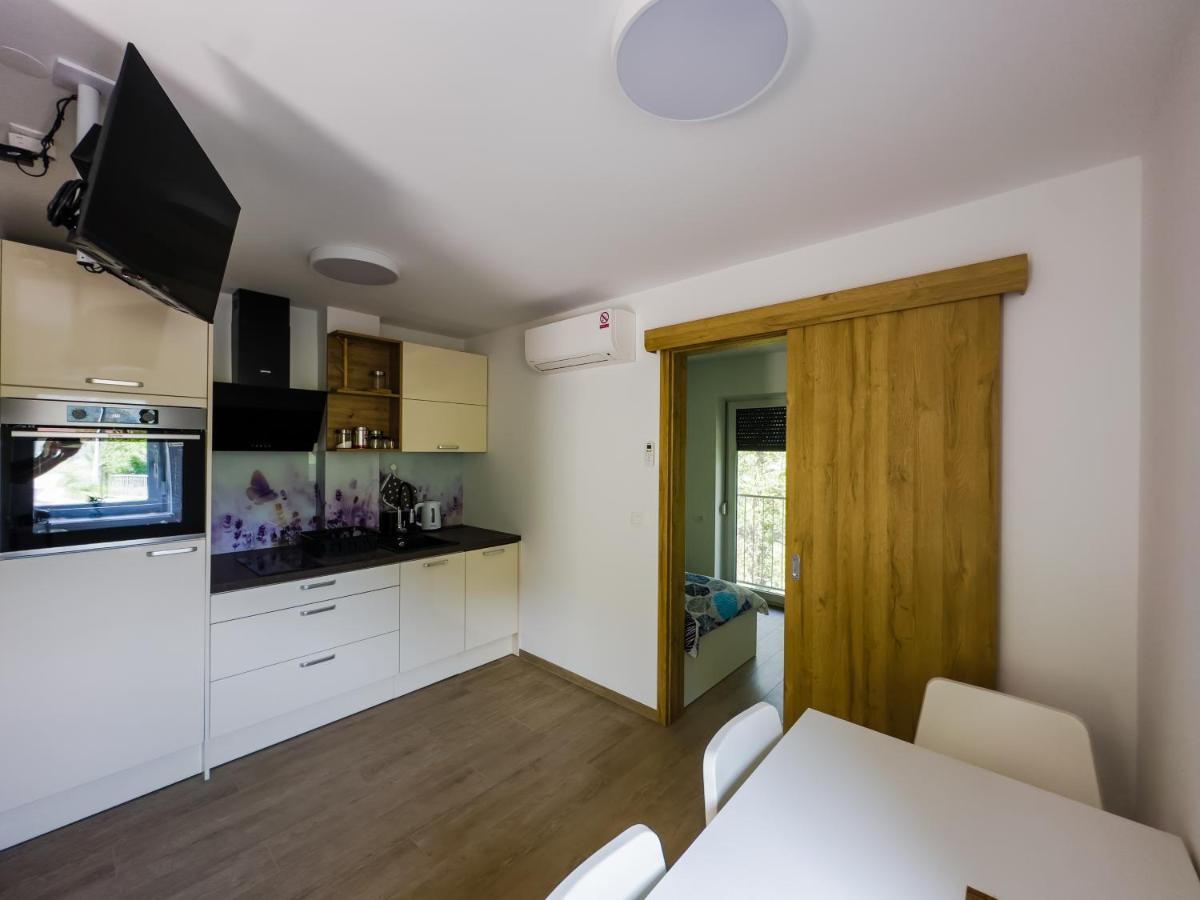 Apartmaji Silva Slap ob Idrijci ภายนอก รูปภาพ